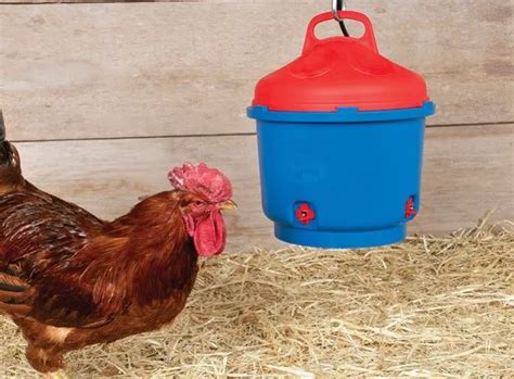 A Comprehensive Guide to Poultry Heated Waterers: Ensuring Optimal Health and Productivity