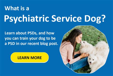 A Comprehensive Guide to Psychiatric Support Dogs: Empowering Mental Health Recovery