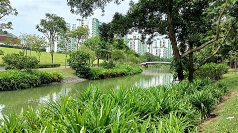 A Comprehensive Guide to Punggol Waterway Park: Experience Nature's Tranquility in Singapore