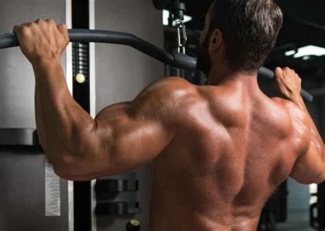 A Comprehensive Guide to Sculpting Powerful Triceps: Exercises, Benefits, and Tips