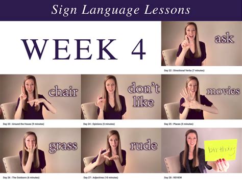 A Comprehensive Guide to Sign Language Courses in Singapore for Beginners and Professionals