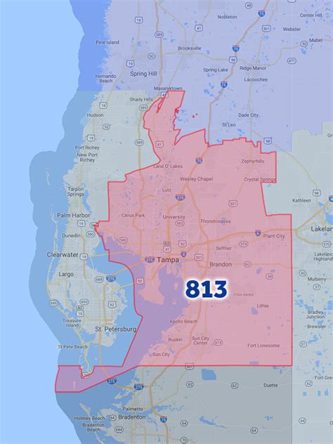 A Comprehensive Guide to Tampa Bay's 813 Area Code
