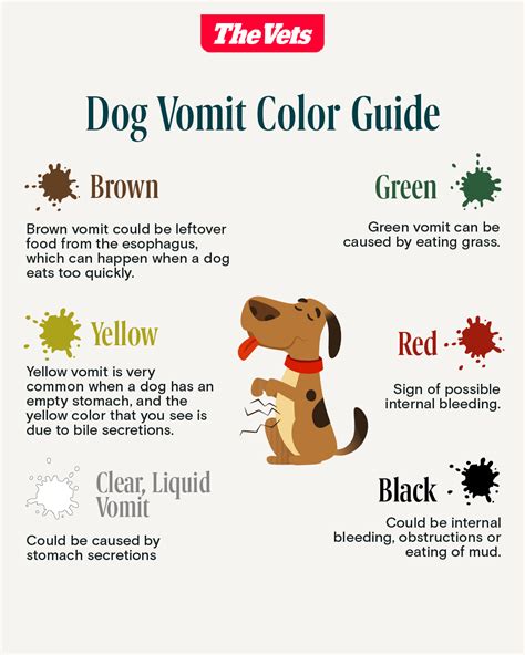 A Comprehensive Guide to Understanding Dog Vomit: Types, Causes, and Home Remedies