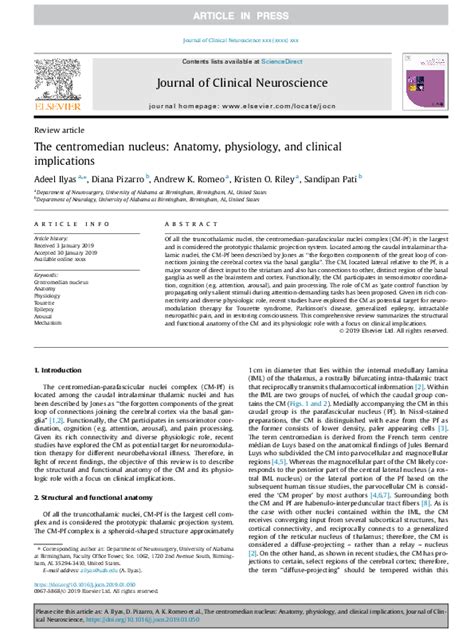 A Comprehensive Guide to Understanding Vomeros: Functions, Anatomy, and Clinical Implications