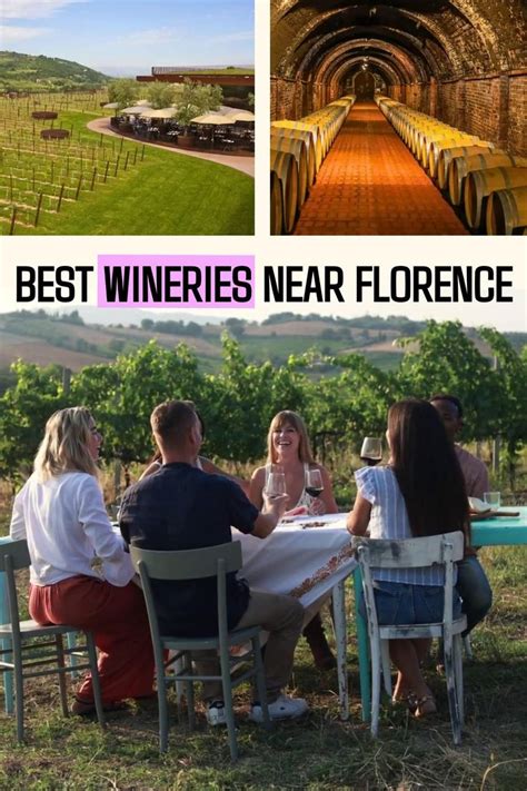 A Comprehensive Guide to Unforgettable Wine and Food Experiences: Wineries with Food Near You