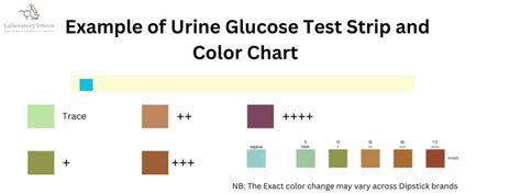 A Comprehensive Guide to Urine Glucose Test Strips: Monitoring Your Glucose Levels with Ease