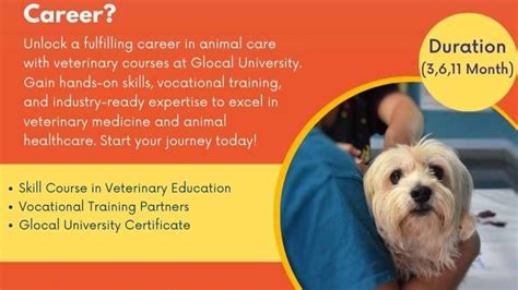 A Comprehensive Guide to Veterinary Courses in Singapore: Your Gateway to a Rewarding Career