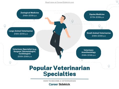 A Comprehensive Guide to Veterinary Jobs in Singapore: Opportunities, Challenges, and Rewards