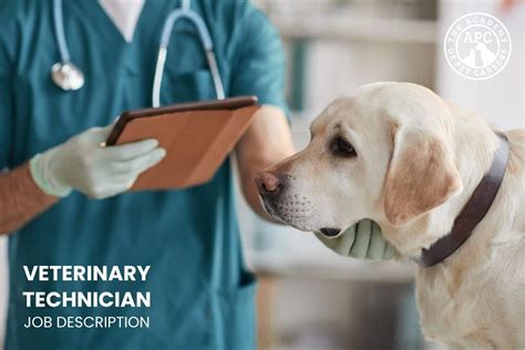 A Comprehensive Guide to Veterinary Technician Jobs in Singapore