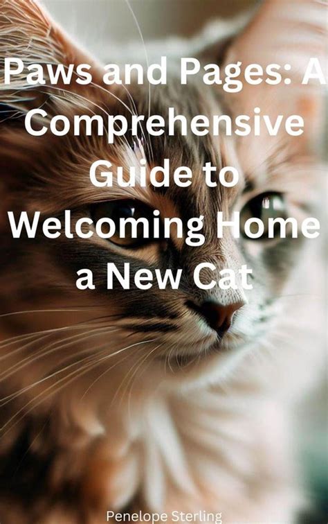 A Comprehensive Guide to Welcoming a New Cat into Your Home