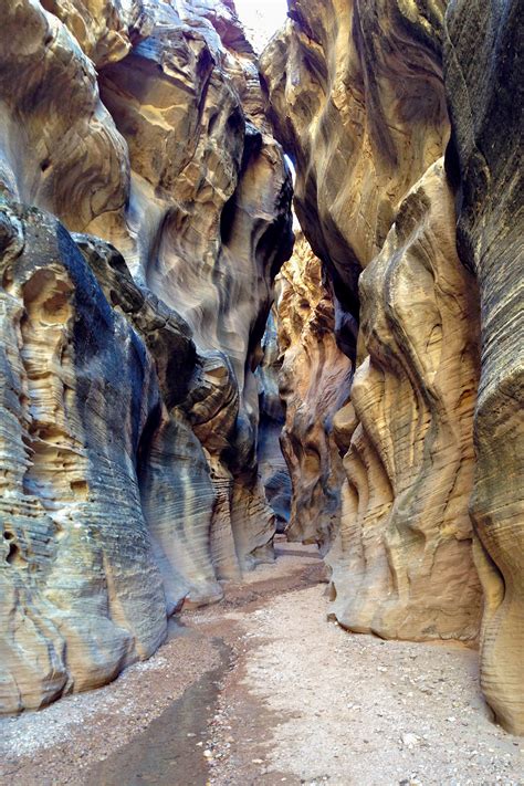 A Comprehensive Guide to Willis Creek Slot Canyon, Utah: Unleash the Mystical Beauty of the Desert