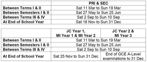 A Comprehensive Guide to the 2023 School Term in Singapore