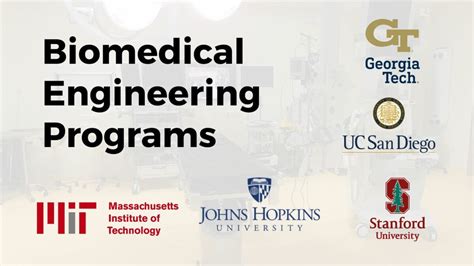 A Comprehensive Guide to the Biomedical Engineering Degree Plan at Texas A&M University