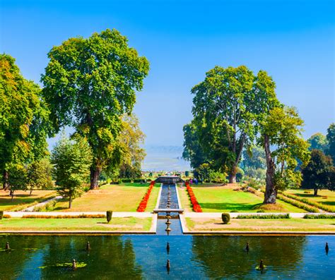 A Comprehensive Guide to the Distance and Travel Options