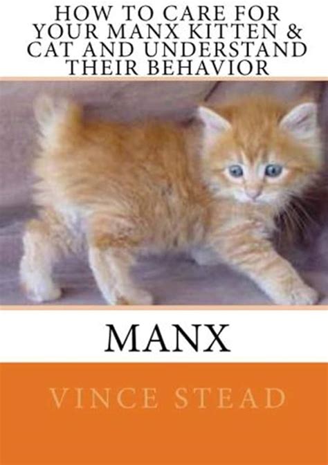 A Comprehensive Guide to the Enchanting Manx Kittens: Unraveling their Unique Traits, Care, and FAQs