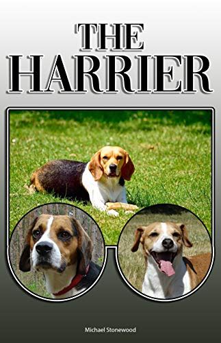 A Comprehensive Guide to the Harrier: A Loyal and Athletic Companion