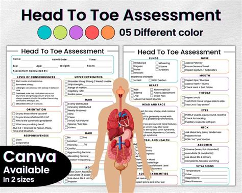 A Comprehensive Guide to the Head-to-Toe Health Assessment 3.0