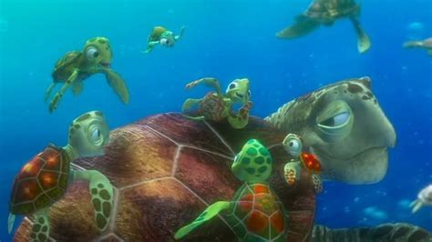 A Comprehensive Guide to the Turtles in Finding Nemo