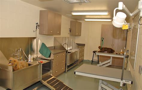 A Comprehensive Overview of Our World-Class Animal Healthcare Facility