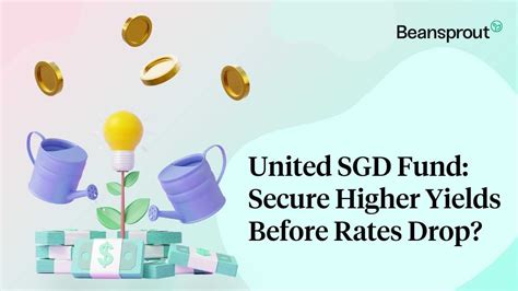 A Comprehensive Overview of the United SGD Fund