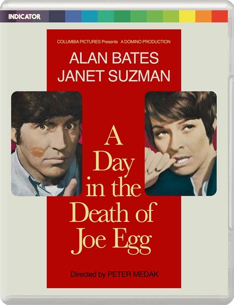 A Day in the Death of Joe Egg PDF