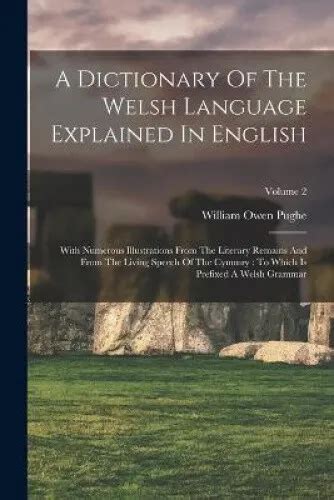 A Dictionary of the Welsh Language PDF