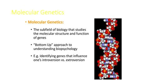 A Discussion on Consciousness and Genetics PDF