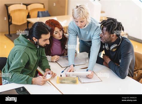 A Diverse and Engaging Academic Landscape