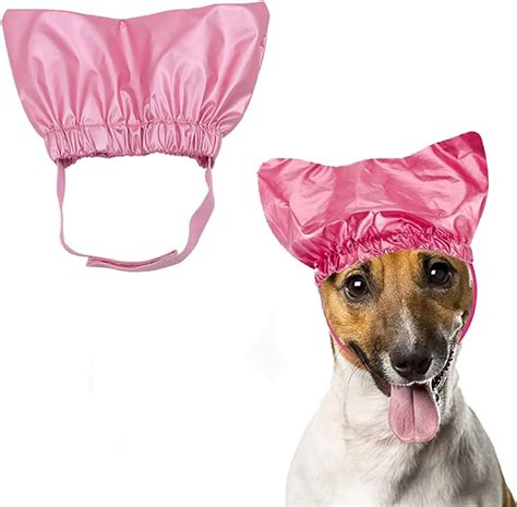 A Dog in a Shower Cap: The Latest Trend in Dog Grooming