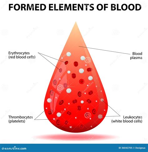 A Drop of Blood Reader