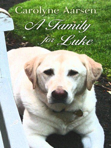 A Family for Luke Thorndike Press Large Print Christian Romance Series Reader