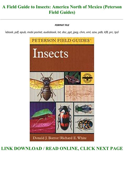 A Field Guide To Insects: America North Of Mexico: Ebook Kindle Editon