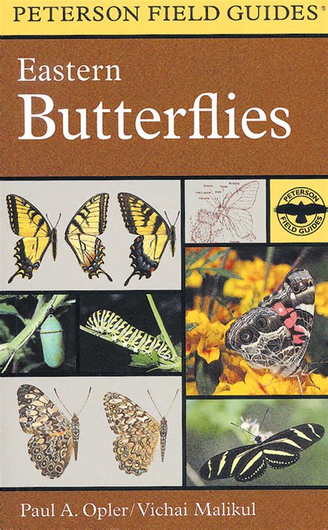 A Field Guide to Eastern Butterflies (Peterson Field Guide) Kindle Editon