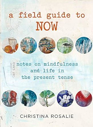 A Field Guide to Now Notes on Mindfulness and Life in the Present Tense PDF