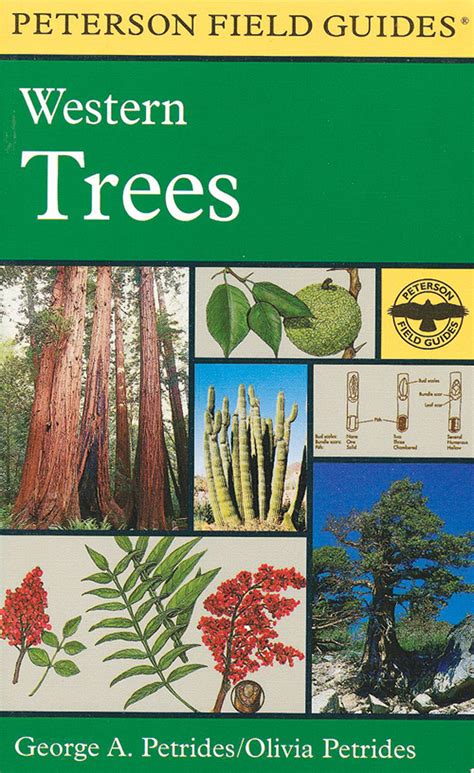 A Field Guide to Western Trees (Peterson Field Guides: 44) Kindle Editon