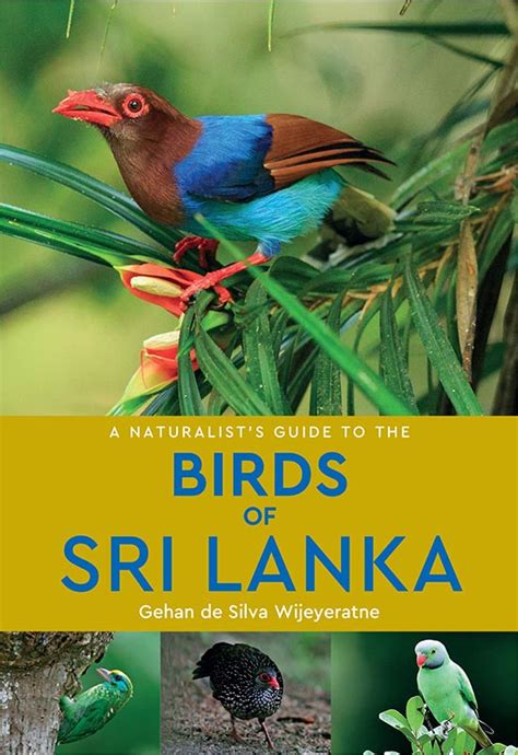 A Field Guide to the Birds of Sri Lanka PDF