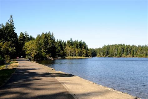 A Fisher's Paradise: Your Guide to Recently Stocked Lakes