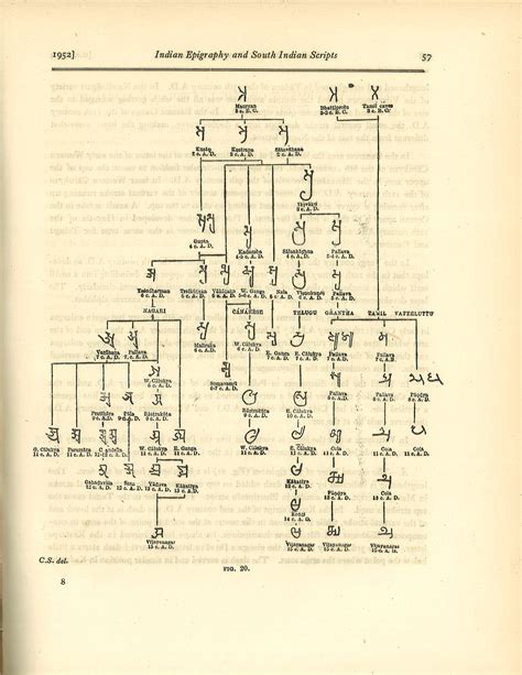 A Genealogical study of an Asian Indian Reader