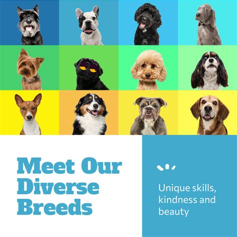 A Glimpse at the Enormous Variety of Dog Breeds