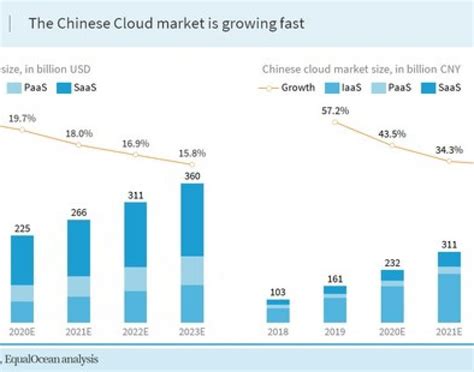 A Glimpse into the Burgeoning Market