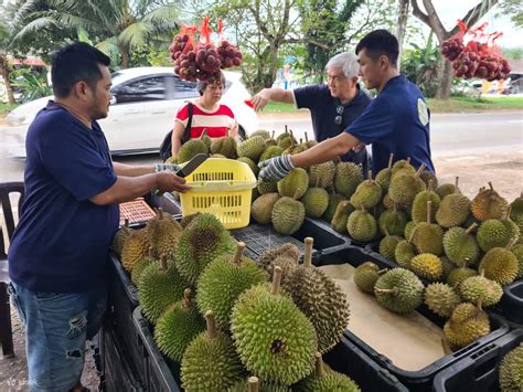 A Glimpse into the History of Johor Bahru Durian