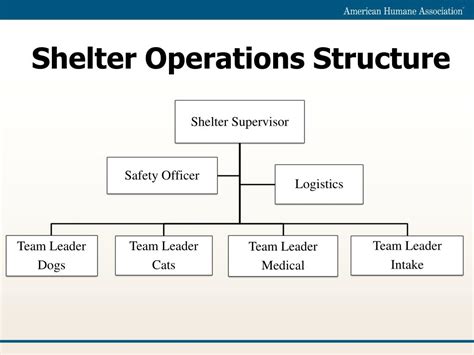 A Glimpse into the Shelter's Operations