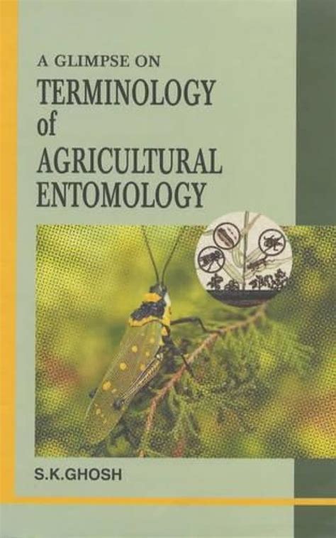 A Glimpse on Terminology of Agricultural Entomology 1st Edition Kindle Editon