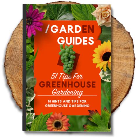 A Green Grannys Garden Ebook Epub
