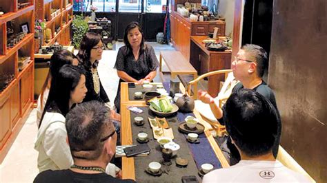 A Guide to Tea Appreciation in Singapore: Unlocking the Sensory Delights of a Timeless Tradition