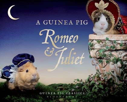 A Guinea Pig Romeo and Juliet Guinea Pig Classics Doc