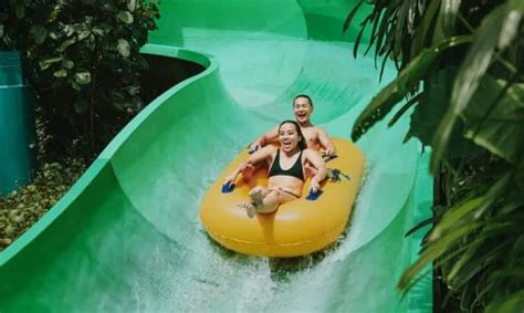 A Haven for Thrill-Seekers: Adventure Cove Waterpark