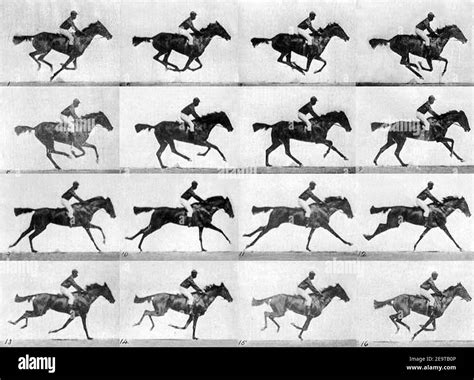 A Historical Gallop: The Lineage of Stick Horse Racing