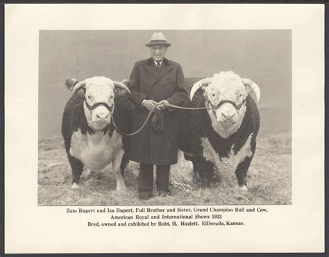 A Historical Legacy: The Origin and Journey of Herefords