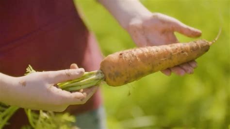 A History of Carrot Shoes Origins and Popularity